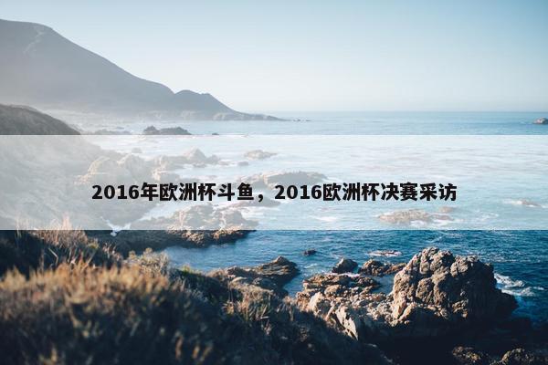 2016年欧洲杯斗鱼，2016欧洲杯决赛采访