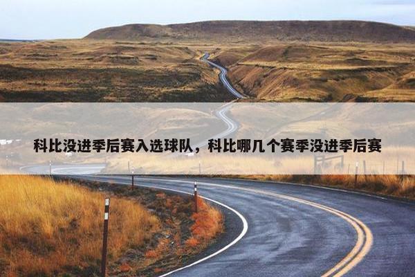 科比没进季后赛入选球队，科比哪几个赛季没进季后赛