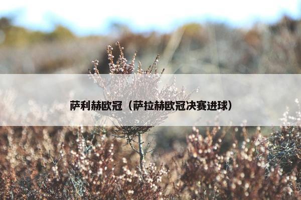 萨利赫欧冠（萨拉赫欧冠决赛进球）