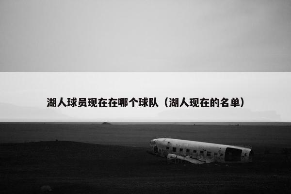 湖人球员现在在哪个球队（湖人现在的名单）