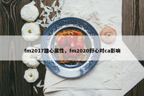 fm2017雄心属性，fm2020野心对ca影响