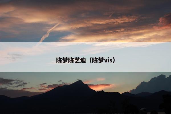 陈梦陈艺迪（陈梦vis）