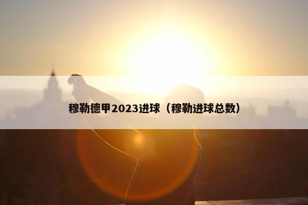 穆勒德甲2023进球（穆勒进球总数）