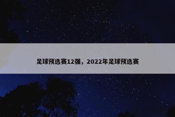 足球预选赛12强，2022年足球预选赛