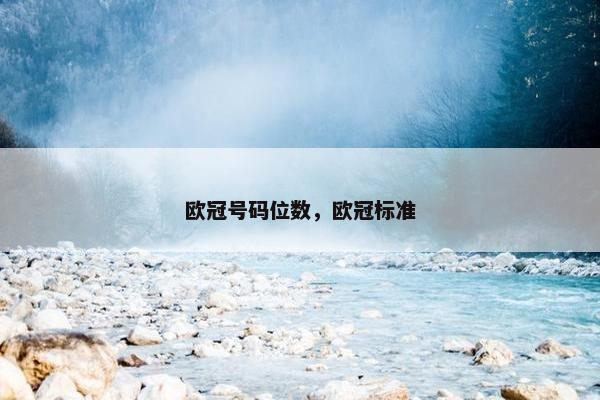 欧冠号码位数，欧冠标准