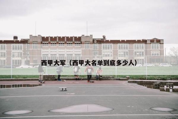 西甲大军（西甲大名单到底多少人）