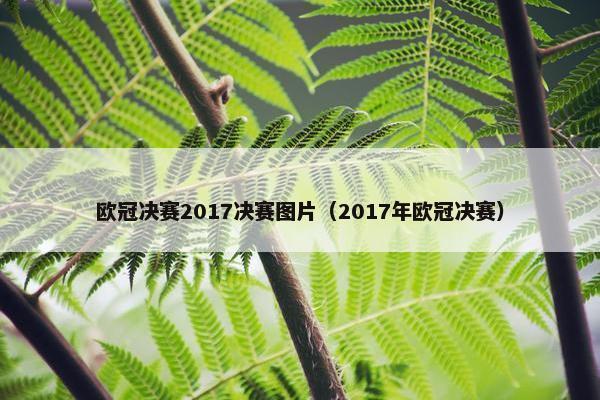 欧冠决赛2017决赛图片（2017年欧冠决赛）