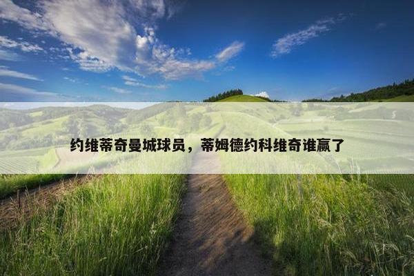 约维蒂奇曼城球员，蒂姆德约科维奇谁赢了