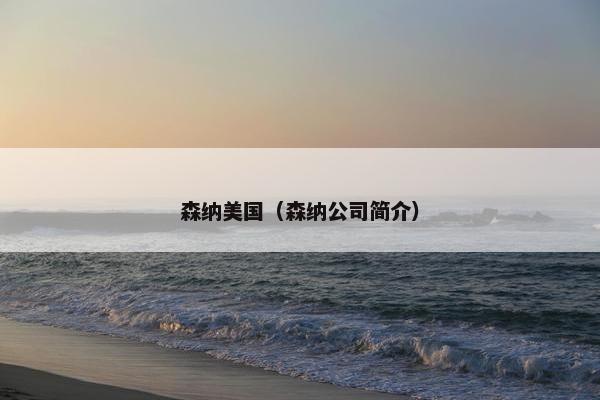森纳美国（森纳公司简介）