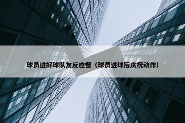 球员进好球队友反应慢（球员进球后庆祝动作）