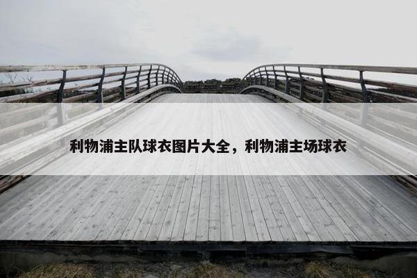 利物浦主队球衣图片大全，利物浦主场球衣
