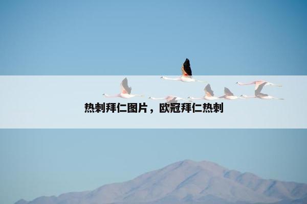 热刺拜仁图片，欧冠拜仁热刺