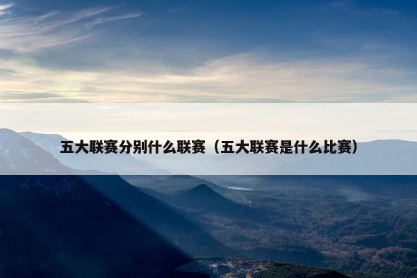 五大联赛分别什么联赛（五大联赛是什么比赛）