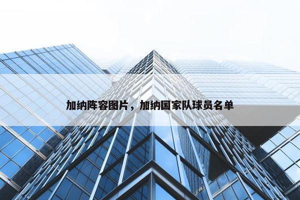 加纳阵容图片，加纳国家队球员名单
