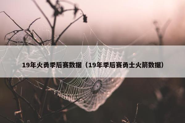 19年火勇季后赛数据（19年季后赛勇士火箭数据）