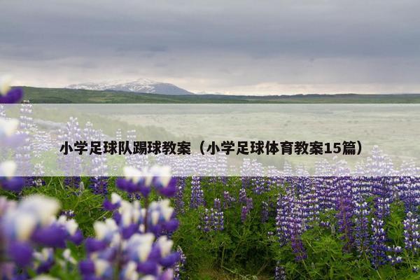 小学足球队踢球教案（小学足球体育教案15篇）