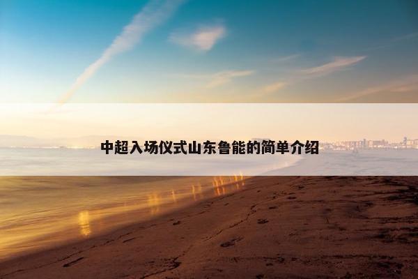 中超入场仪式山东鲁能的简单介绍