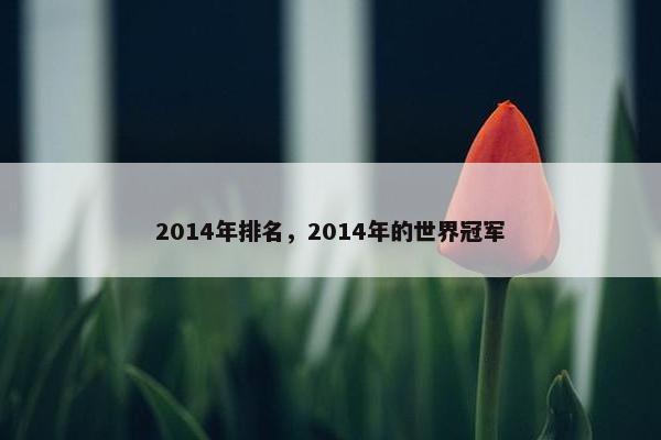 2014年排名，2014年的世界冠军