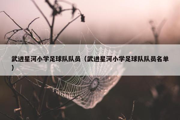 武进星河小学足球队队员（武进星河小学足球队队员名单）