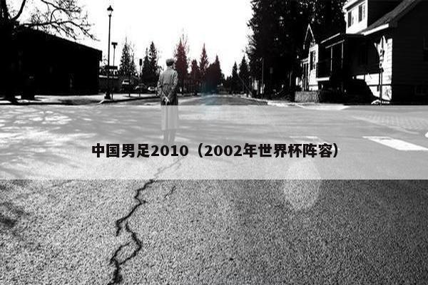 中国男足2010（2002年世界杯阵容）