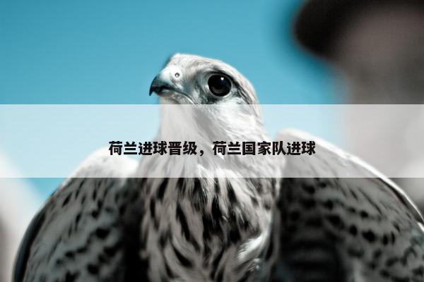 荷兰进球晋级，荷兰国家队进球