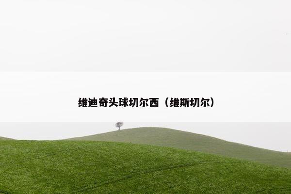 维迪奇头球切尔西（维斯切尔）