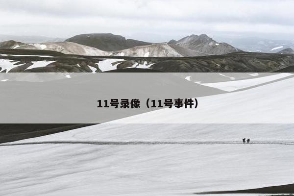 11号录像（11号事件）