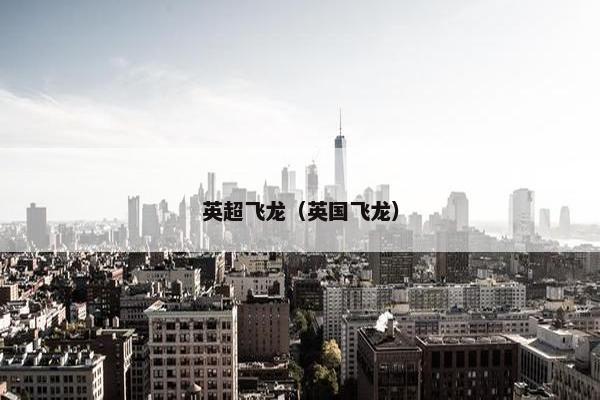 英超飞龙（英国飞龙）
