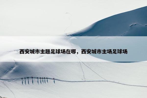 西安城市主题足球场在哪，西安城市主场足球场