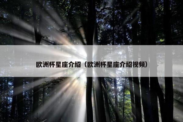 欧洲杯星座介绍（欧洲杯星座介绍视频）