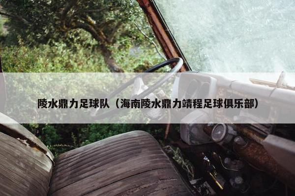 陵水鼎力足球队（海南陵水鼎力靖程足球俱乐部）