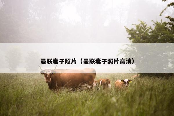 曼联妻子照片（曼联妻子照片高清）