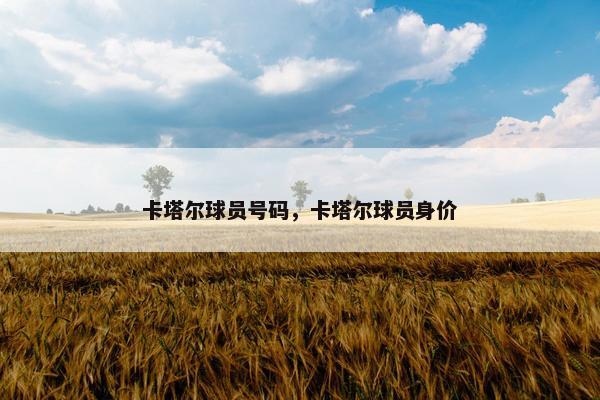 卡塔尔球员号码，卡塔尔球员身价