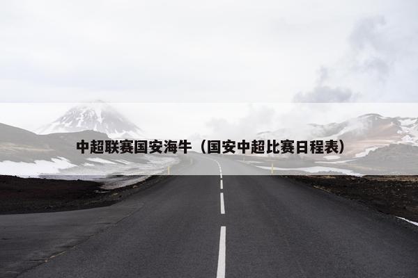 中超联赛国安海牛（国安中超比赛日程表）