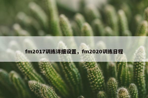 fm2017训练详细设置，fm2020训练日程