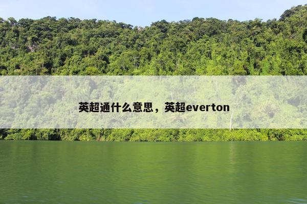 英超通什么意思，英超everton