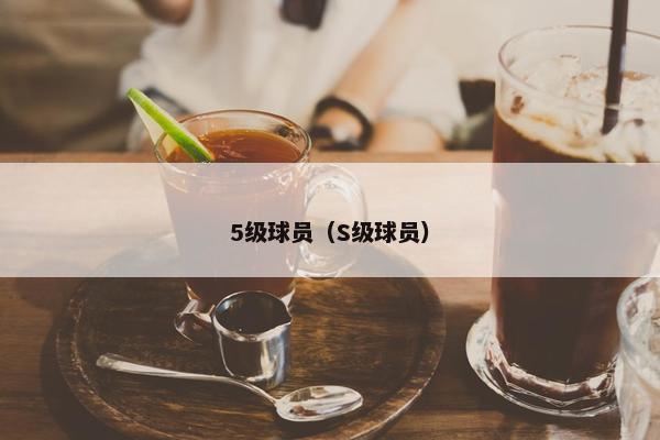 5级球员（S级球员）