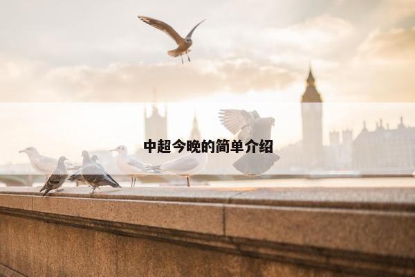 中超今晚的简单介绍