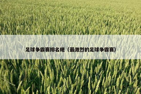 足球争霸赛排名规（最激烈的足球争霸赛）