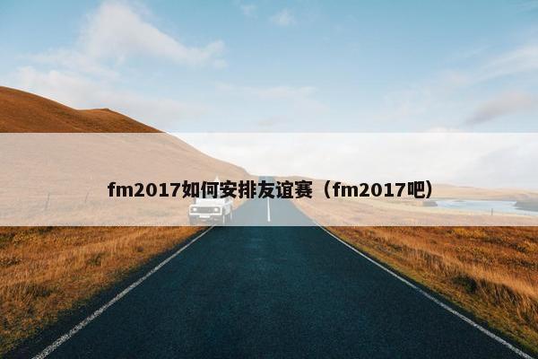 fm2017如何安排友谊赛（fm2017吧）