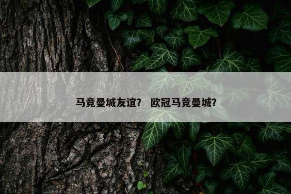 马竞曼城友谊？ 欧冠马竞曼城？