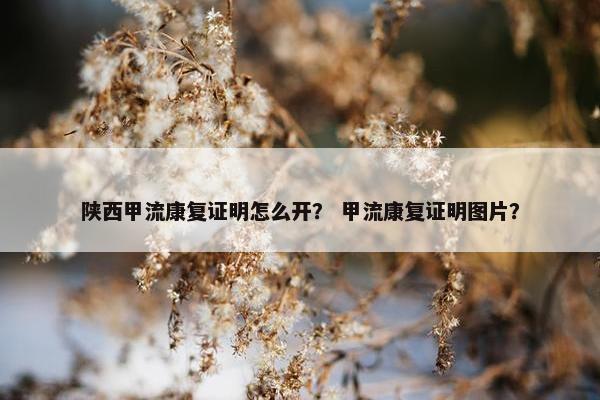 陕西甲流康复证明怎么开？ 甲流康复证明图片？
