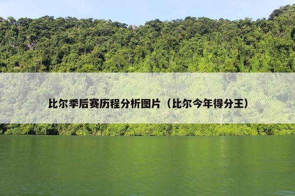 比尔季后赛历程分析图片（比尔今年得分王）
