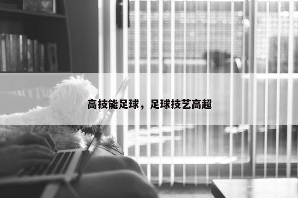 高技能足球，足球技艺高超