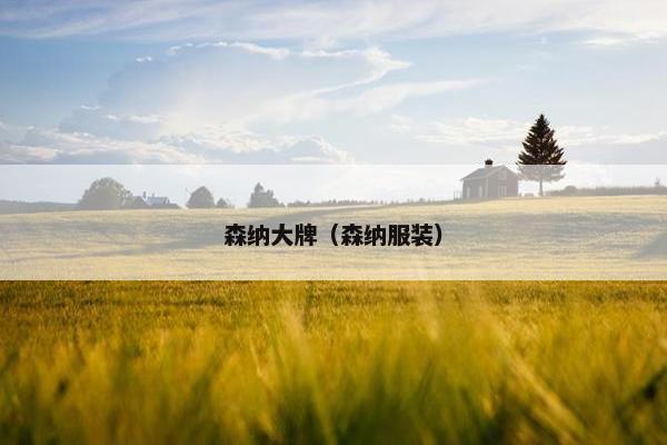 森纳大牌（森纳服装）