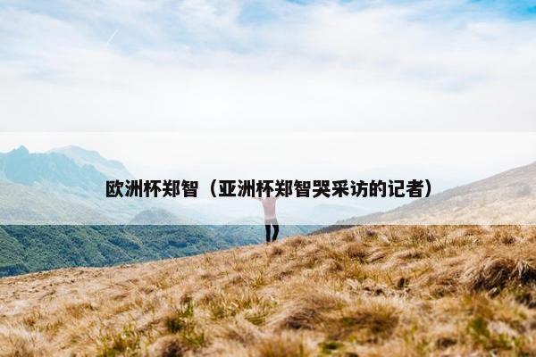 欧洲杯郑智（亚洲杯郑智哭采访的记者）