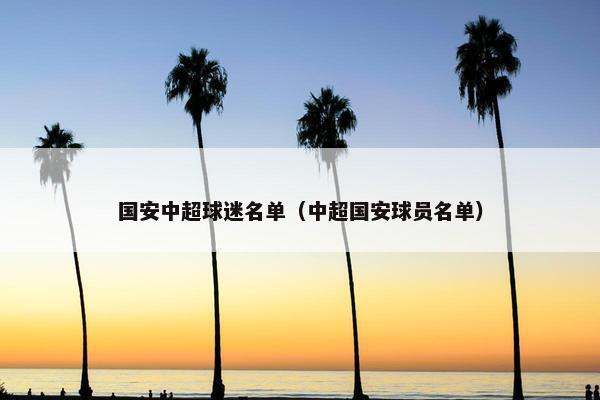 国安中超球迷名单（中超国安球员名单）