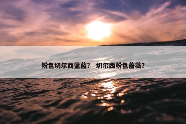 粉色切尔西蓝蓝？ 切尔西粉色蔷薇？