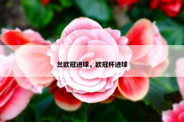 兰欧冠进球，欧冠杯进球