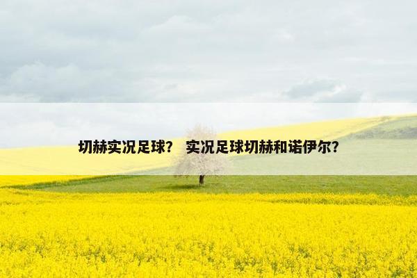 切赫实况足球？ 实况足球切赫和诺伊尔？